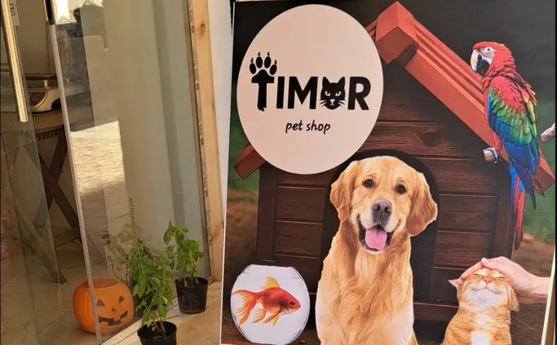 تيمور بت شوب